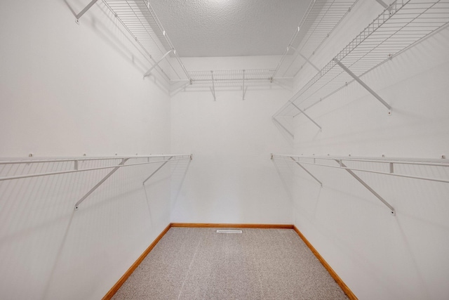 7811 209th St N, Forest Lake, MN 55025 - spacious closet featuring carpet