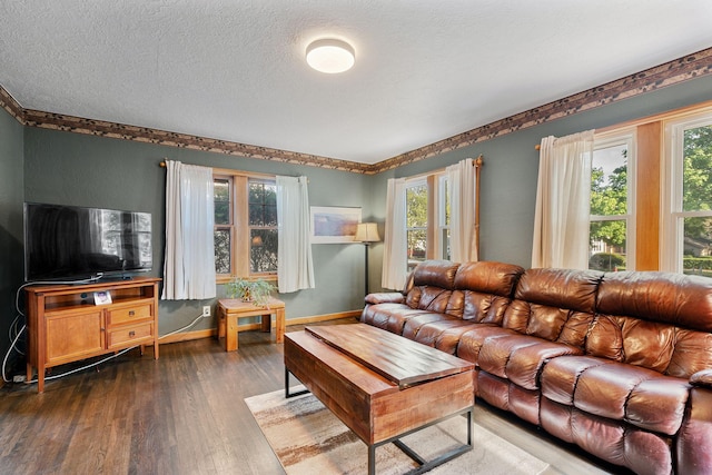 308 4th Ave SW, Austin, MN 55912 - living room with dark wood-style flooring, baseboards, and a textured ceiling
