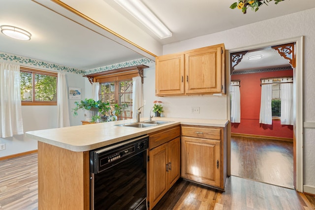 308 4th Ave SW, Austin, MN 55912 - kitchen featuring black dishwasher, a sink, light wood-style floors, and light countertops