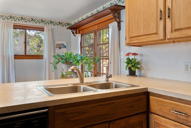 308 4th Ave SW, Austin, MN 55912 - kitchen featuring a sink, light countertops, and dishwasher