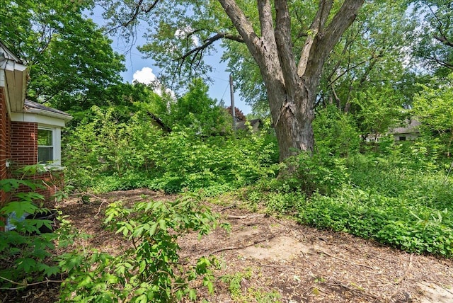 950 Clark St, Hammond, WI 54015 - view of yard