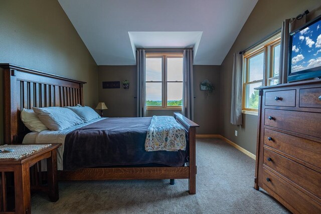 E2221 930th Ave, Stanton Twp, WI 54725 - carpeted bedroom with lofted ceiling, multiple windows, and baseboards