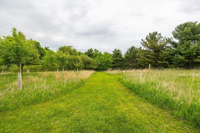 E2221 930th Ave, Stanton Twp, WI 54725 - view of yard with a view of trees