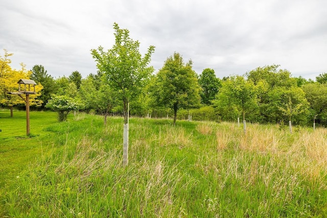 E2221 930th Ave, Stanton Twp, WI 54725 - view of local wilderness
