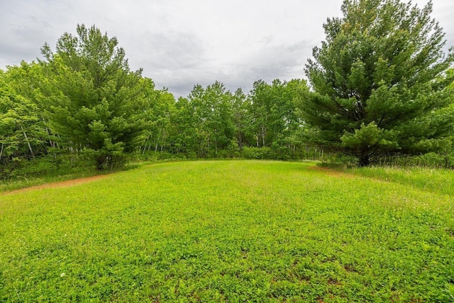 E2221 930th Ave, Stanton Twp, WI 54725 - view of yard