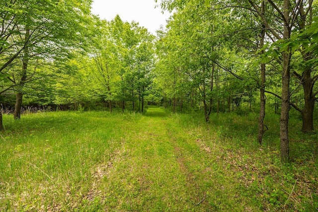 E2221 930th Ave, Stanton Twp, WI 54725 - view of tree filled area