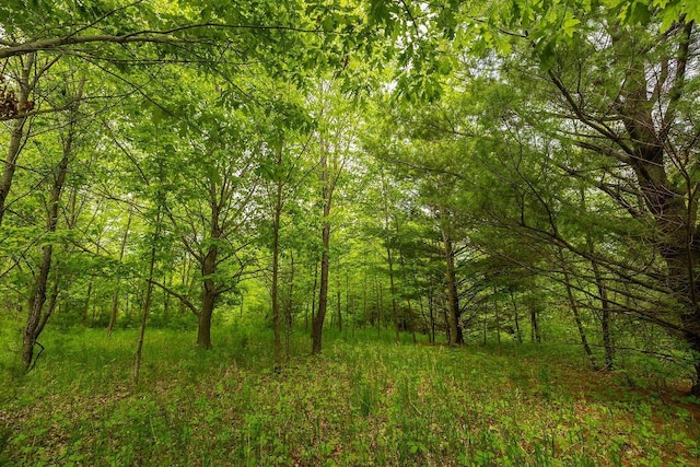 E2221 930th Ave, Stanton Twp, WI 54725 - view of wooded area