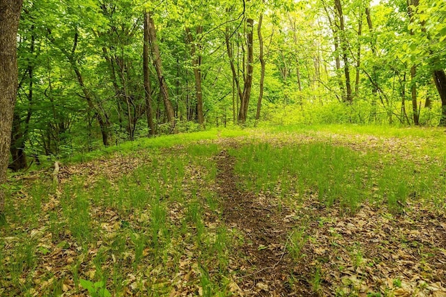 E2221 930th Ave, Stanton Twp, WI 54725 - view of wooded area