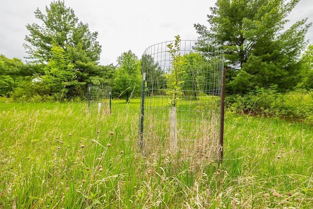 E2221 930th Ave, Stanton Twp, WI 54725 - view of nature