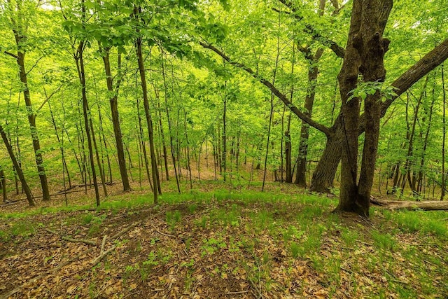 E2221 930th Ave, Stanton Twp, WI 54725 - view of wooded area
