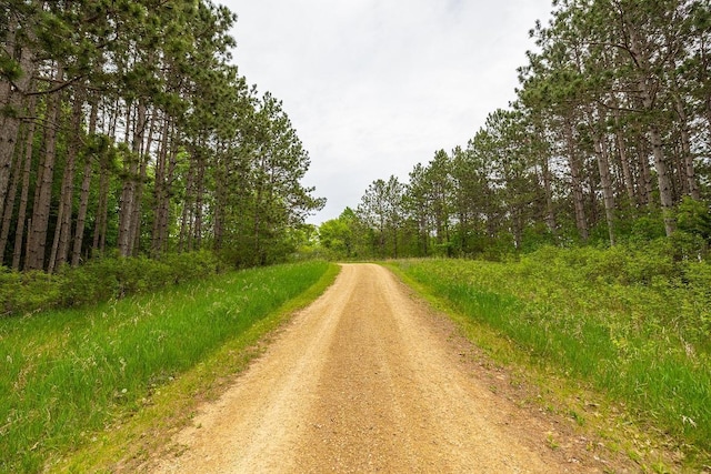 E2221 930th Ave, Stanton Twp, WI 54725 - view of dirt / gravel road with a view of trees