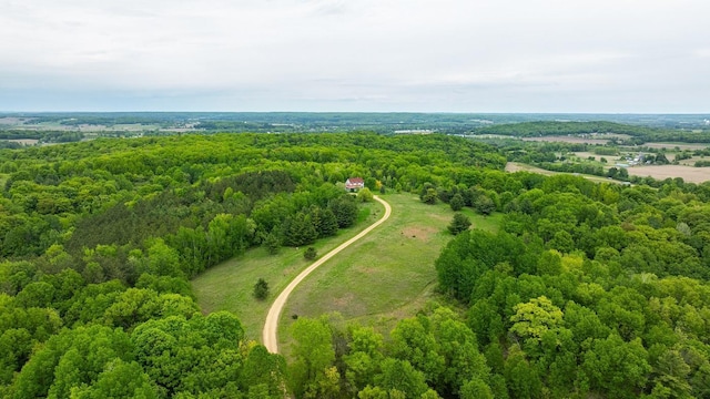E2221 930th Ave, Stanton Twp, WI 54725 - aerial view of a forest