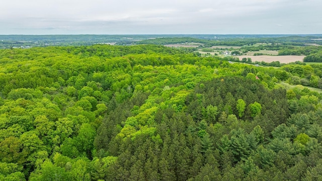 E2221 930th Ave, Stanton Twp, WI 54725 - drone / aerial view of a heavily wooded area