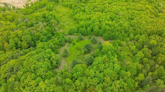 E2221 930th Ave, Stanton Twp, WI 54725 - drone / aerial view of a heavily wooded area