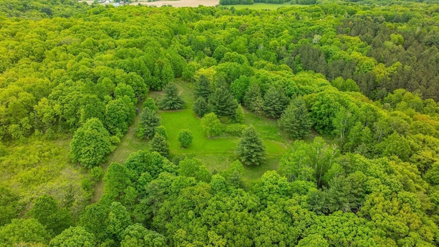 E2221 930th Ave, Stanton Twp, WI 54725 - aerial view of a heavily wooded area