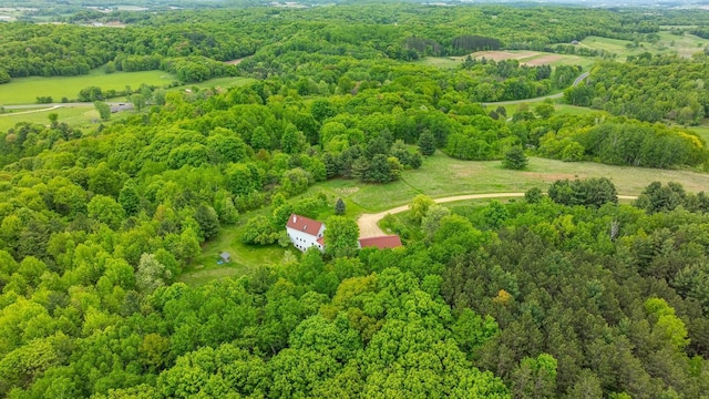 E2221 930th Ave, Stanton Twp, WI 54725 - view of rural area featuring a forest