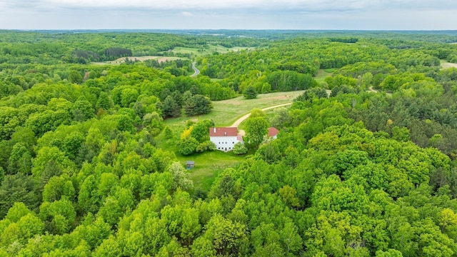 E2221 930th Ave, Stanton Twp, WI 54725 - drone / aerial view of a forest