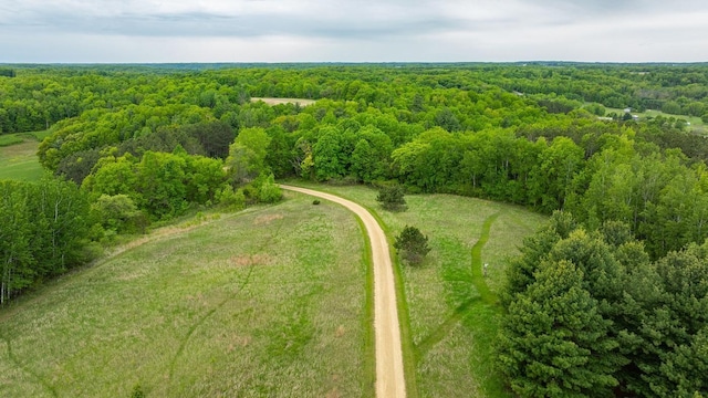 E2221 930th Ave, Stanton Twp, WI 54725 - drone / aerial view of a forest
