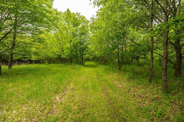 E2221 930th Ave, Stanton Twp, WI 54725 - photo 38