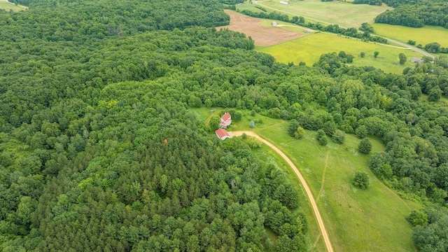 E2221 930th Ave, Stanton Twp, WI 54725 - photo 59