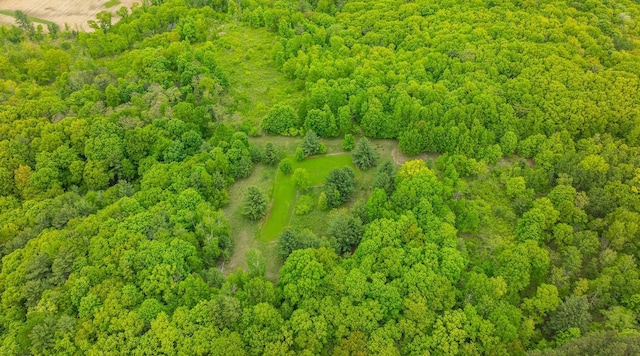 E2221 930th Ave, Stanton Twp, WI 54725 - photo 60