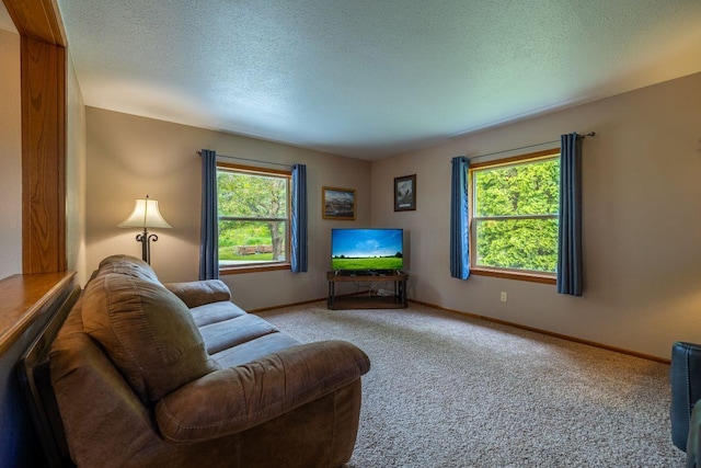 S363 Nicholes Rd, Naples Twp, WI 54755 - living room featuring healthy amount of natural light, carpet floors, baseboards, and a textured ceiling