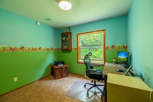 S363 Nicholes Rd, Naples Twp, WI 54755 - office space with carpet floors and baseboards