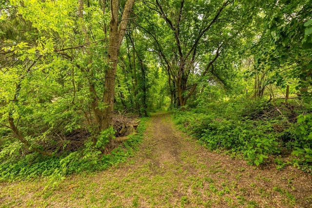 S363 Nicholes Rd, Naples Twp, WI 54755 - view of tree filled area