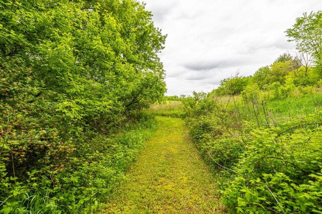 S363 Nicholes Rd, Naples Twp, WI 54755 - view of nature