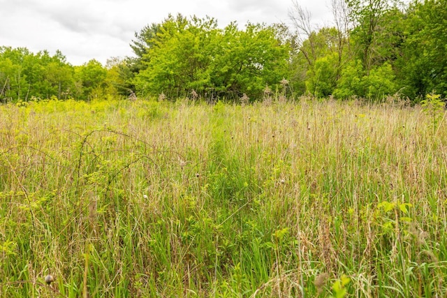S363 Nicholes Rd, Naples Twp, WI 54755 - view of woods