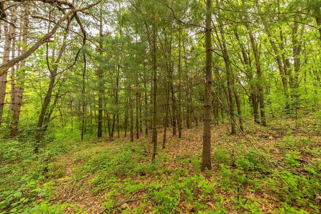 S363 Nicholes Rd, Naples Twp, WI 54755 - view of wooded area
