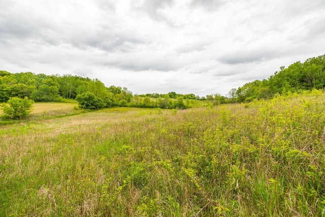 S363 Nicholes Rd, Naples Twp, WI 54755 - view of undeveloped land