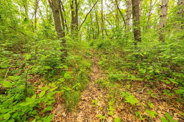 S363 Nicholes Rd, Naples Twp, WI 54755 - view of tree filled area