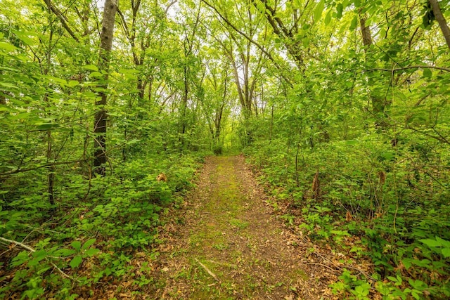 S363 Nicholes Rd, Naples Twp, WI 54755 - view of wooded area