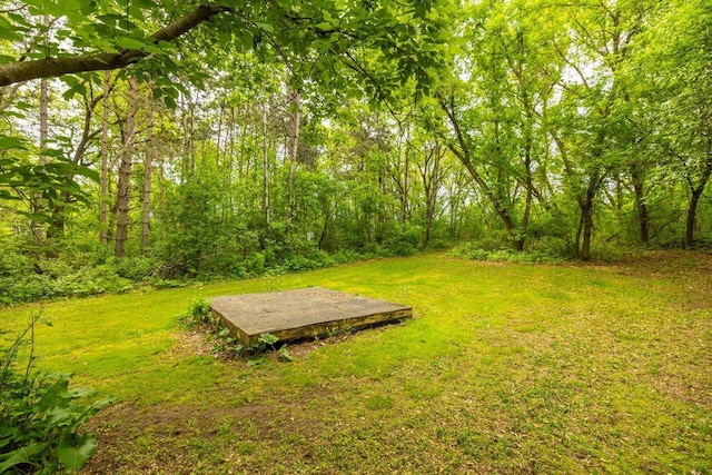 S363 Nicholes Rd, Naples Twp, WI 54755 - view of green lawn