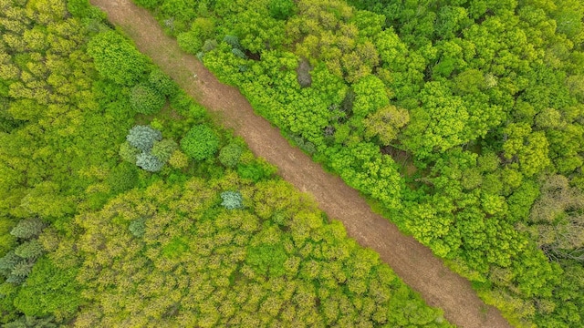 S363 Nicholes Rd, Naples Twp, WI 54755 - aerial overview of property's location