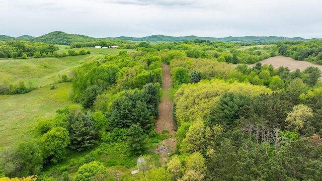 S363 Nicholes Rd, Naples Twp, WI 54755 - view of mountain backdrop