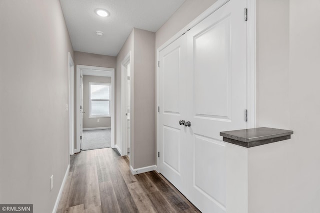 1009 2nd St NW, Delano, MN 55328 - hallway with baseboards and wood finished floors