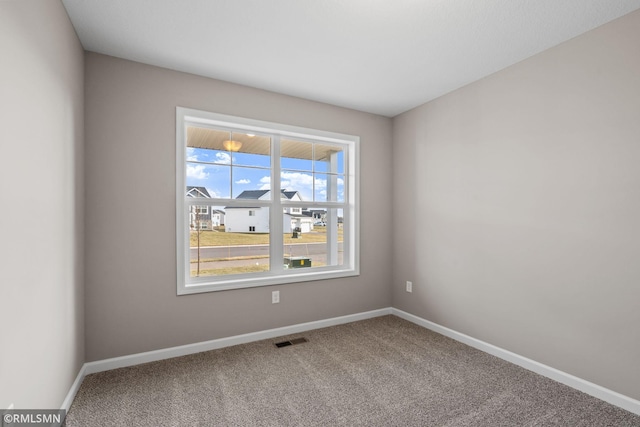 1009 2nd St NW, Delano, MN 55328 - carpeted spare room with baseboards