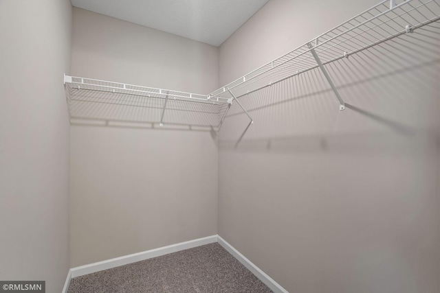 1009 2nd St NW, Delano, MN 55328 - walk in closet with carpet