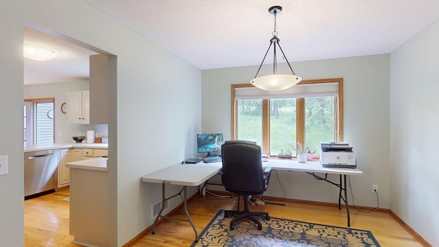 5121 Cameron Dr NW, Cascade Twp, MN 55901 - office with light wood-style flooring and baseboards