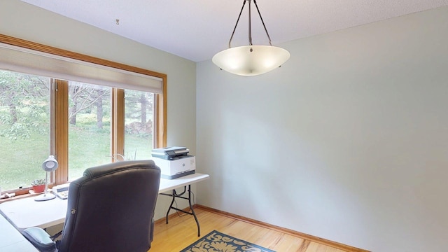 5121 Cameron Dr NW, Cascade Twp, MN 55901 - office space with light wood-type flooring and baseboards