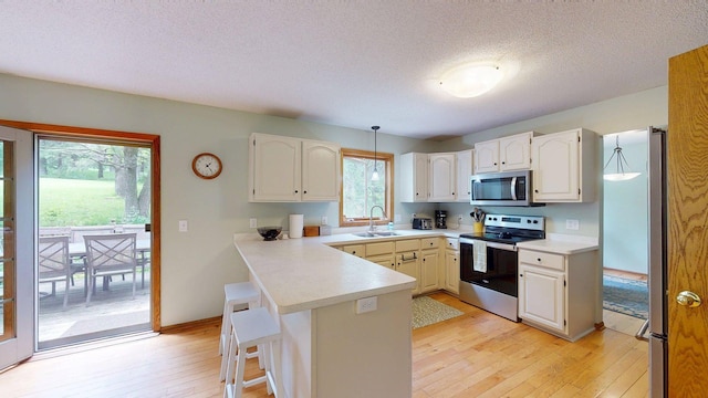 5121 Cameron Dr NW, Cascade Twp, MN 55901 - kitchen featuring stainless steel appliances, a sink, light wood-style floors, a peninsula, and light countertops