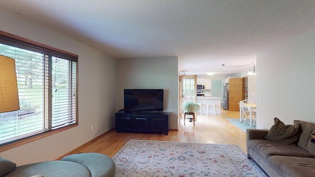 5121 Cameron Dr NW, Cascade Twp, MN 55901 - living room with light wood finished floors