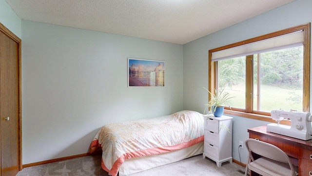 5121 Cameron Dr NW, Cascade Twp, MN 55901 - carpeted bedroom featuring baseboards