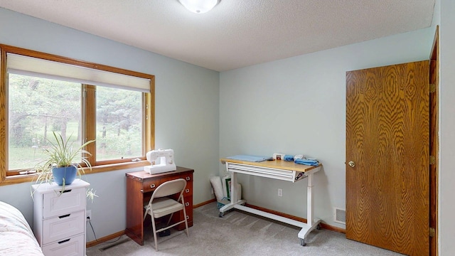 5121 Cameron Dr NW, Cascade Twp, MN 55901 - home office with light carpet, a textured ceiling, and baseboards