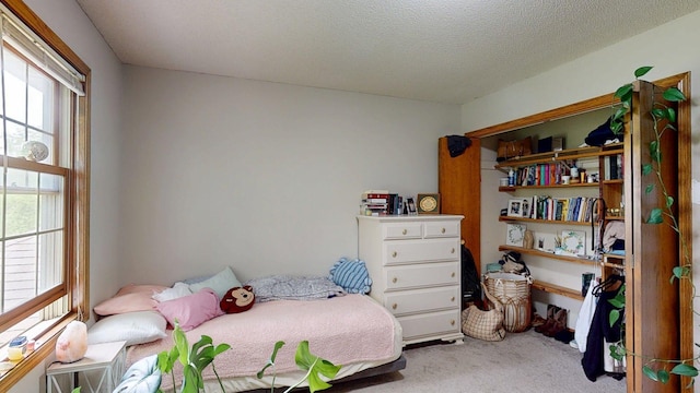 5121 Cameron Dr NW, Cascade Twp, MN 55901 - bedroom with carpet and a textured ceiling