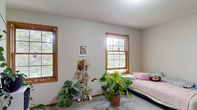 5121 Cameron Dr NW, Cascade Twp, MN 55901 - carpeted bedroom featuring baseboards and a textured ceiling