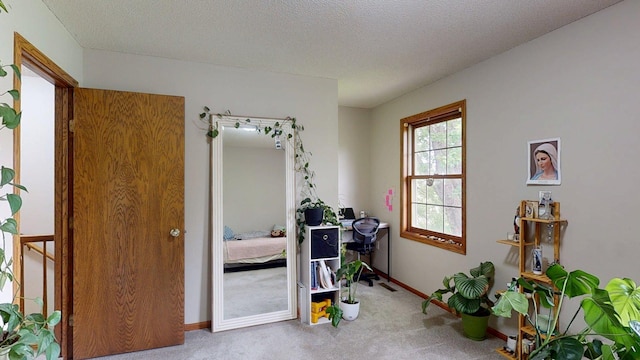 5121 Cameron Dr NW, Cascade Twp, MN 55901 - bedroom with carpet floors, baseboards, and a textured ceiling