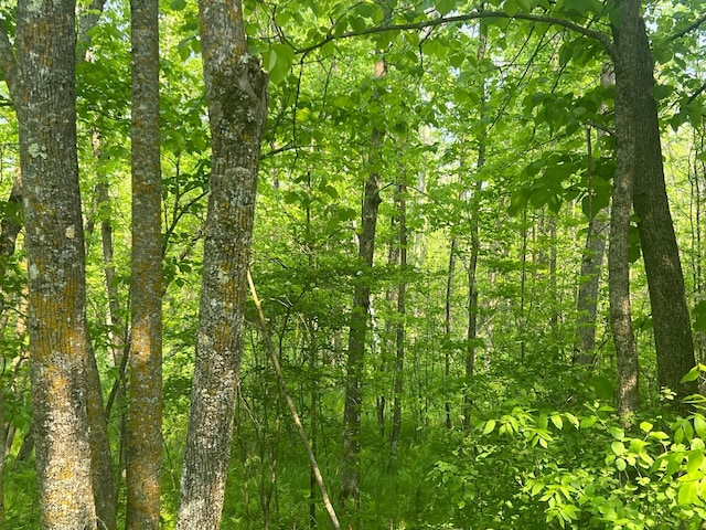 TBD Dettbarn Rd, Lake Shore, MN 56468